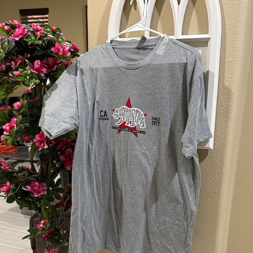 Gray Graphic T-Shirt- brand new